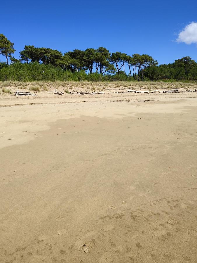 Idealement Situe, Tout A Pied, 60M2 Saint-Georges-de-Didonne Exterior foto